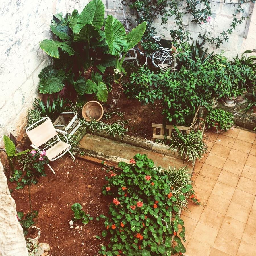 Sa Madona De Sa Pleta Acomodação com café da manhã Muro Exterior foto